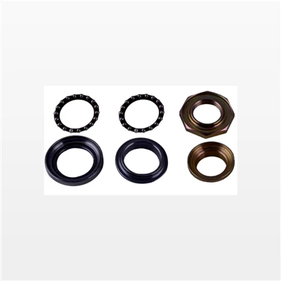 Cuscinetto dello sterzo SCY110T500239